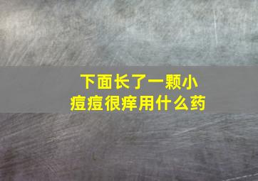 下面长了一颗小痘痘很痒用什么药