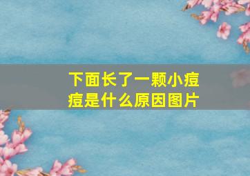 下面长了一颗小痘痘是什么原因图片