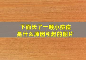 下面长了一颗小痘痘是什么原因引起的图片