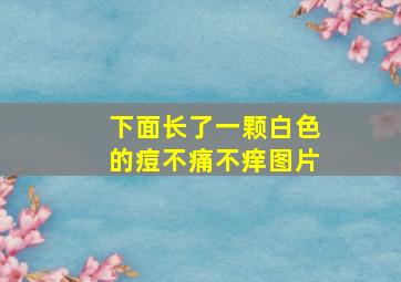 下面长了一颗白色的痘不痛不痒图片