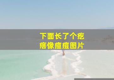 下面长了个疙瘩像痘痘图片