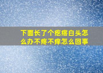 下面长了个疙瘩白头怎么办不疼不痒怎么回事