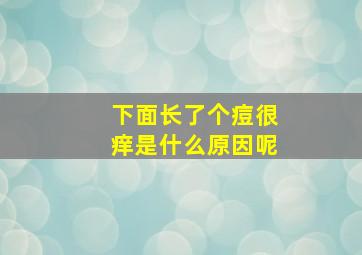 下面长了个痘很痒是什么原因呢