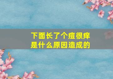 下面长了个痘很痒是什么原因造成的