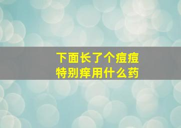 下面长了个痘痘特别痒用什么药