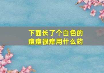 下面长了个白色的痘痘很痒用什么药