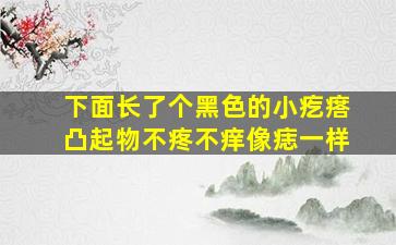 下面长了个黑色的小疙瘩凸起物不疼不痒像痣一样