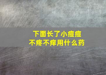 下面长了小痘痘不疼不痒用什么药