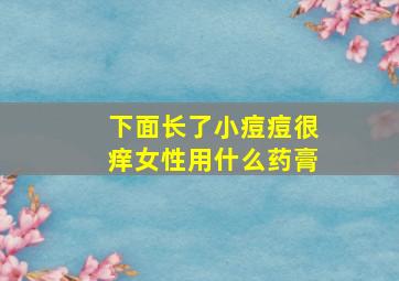 下面长了小痘痘很痒女性用什么药膏