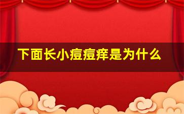 下面长小痘痘痒是为什么