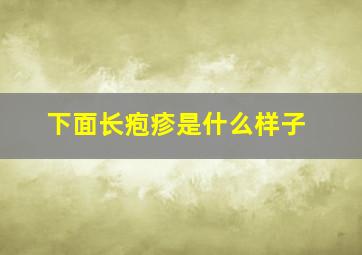 下面长疱疹是什么样子