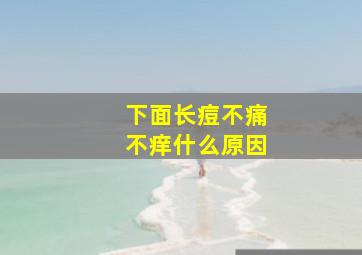 下面长痘不痛不痒什么原因