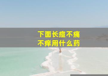 下面长痘不痛不痒用什么药