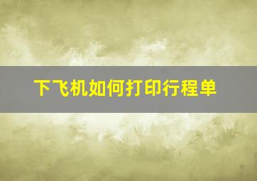 下飞机如何打印行程单