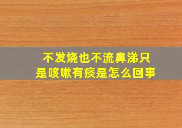 不发烧也不流鼻涕只是咳嗽有痰是怎么回事