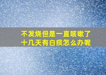 不发烧但是一直咳嗽了十几天有白痰怎么办呢