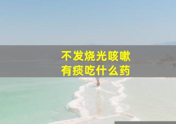 不发烧光咳嗽有痰吃什么药