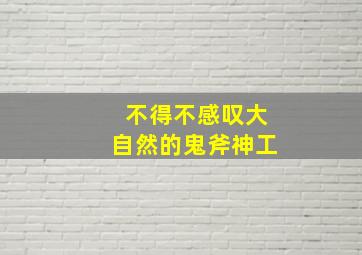 不得不感叹大自然的鬼斧神工