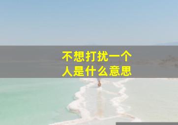 不想打扰一个人是什么意思