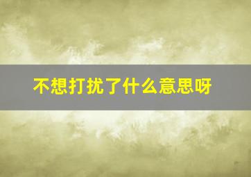 不想打扰了什么意思呀