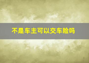 不是车主可以交车险吗