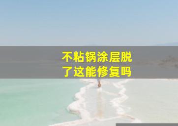 不粘锅涂层脱了这能修复吗