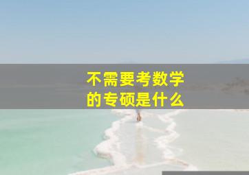 不需要考数学的专硕是什么