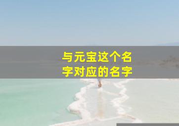 与元宝这个名字对应的名字