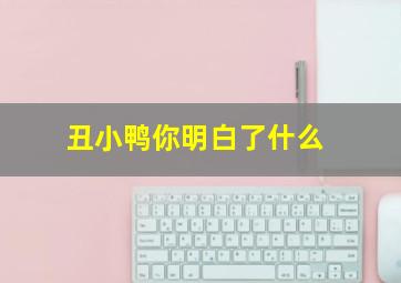 丑小鸭你明白了什么