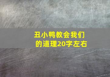 丑小鸭教会我们的道理20字左右