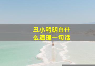 丑小鸭明白什么道理一句话