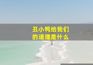 丑小鸭给我们的道理是什么