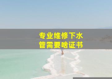 专业维修下水管需要啥证书