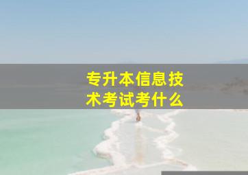 专升本信息技术考试考什么