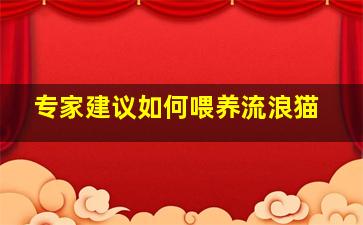 专家建议如何喂养流浪猫