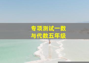 专项测试一数与代数五年级