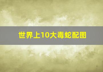 世界上10大毒蛇配图