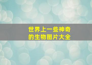 世界上一些神奇的生物图片大全