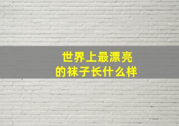 世界上最漂亮的袜子长什么样