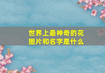 世界上最神奇的花图片和名字是什么