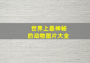 世界上最神秘的动物图片大全