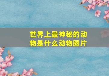 世界上最神秘的动物是什么动物图片