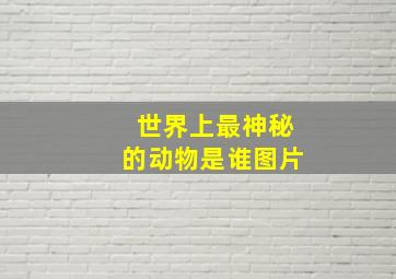 世界上最神秘的动物是谁图片