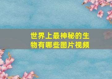 世界上最神秘的生物有哪些图片视频