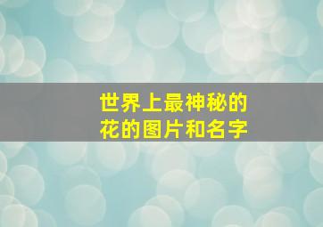 世界上最神秘的花的图片和名字