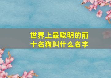 世界上最聪明的前十名狗叫什么名字