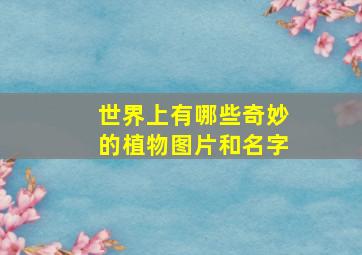 世界上有哪些奇妙的植物图片和名字