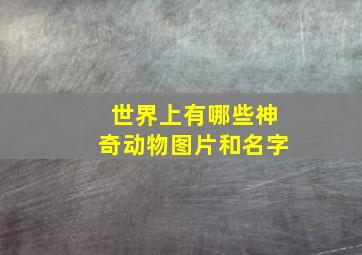 世界上有哪些神奇动物图片和名字