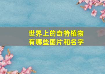 世界上的奇特植物有哪些图片和名字