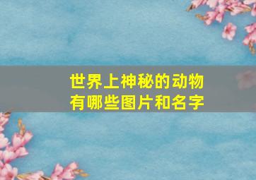 世界上神秘的动物有哪些图片和名字